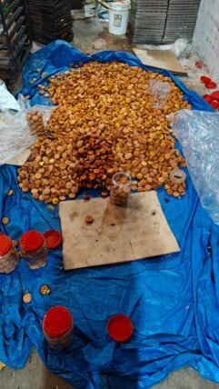 కాటెదాన్‌లో కుళ్లిపోయిన గుడ్లతో తినుబండారాల తయారీ బట్టబయలు.. ముగ్గురు అరెస్ట్