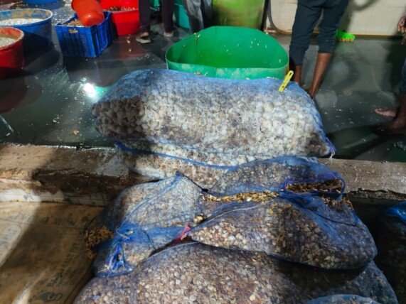 హైదరాబాద్‌లో కలుషిత అల్లం-వెల్లుల్లి పేస్ట్ తయారీ కేంద్రంపై దాడి – నిందితుడి అరెస్ట్